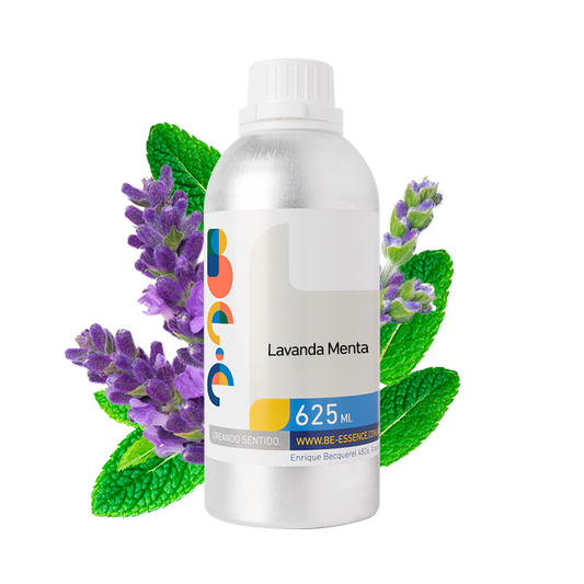 Lavanda-Menta