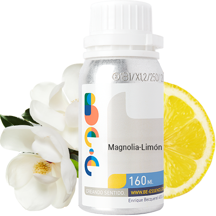 Magnolia- Limon